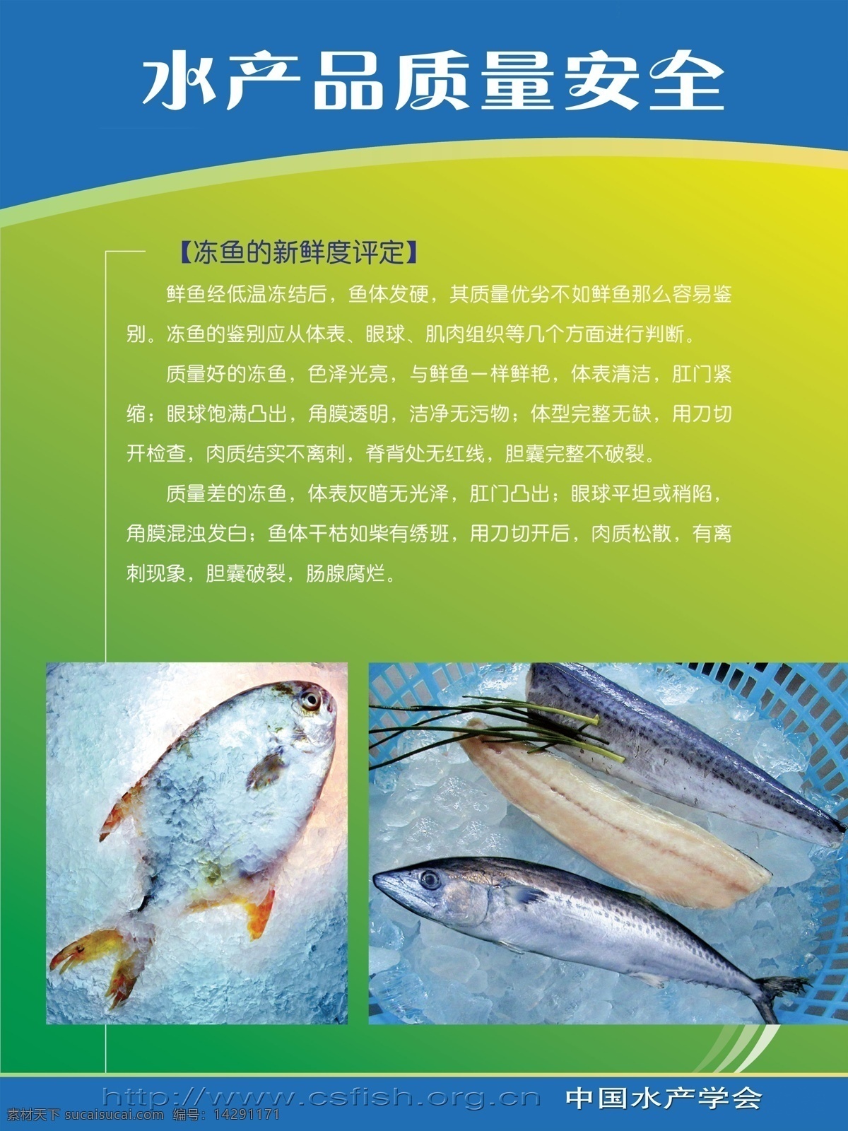 水产品 质量安全 鱼 冷冻 新鲜程度 生活百科 餐饮美食