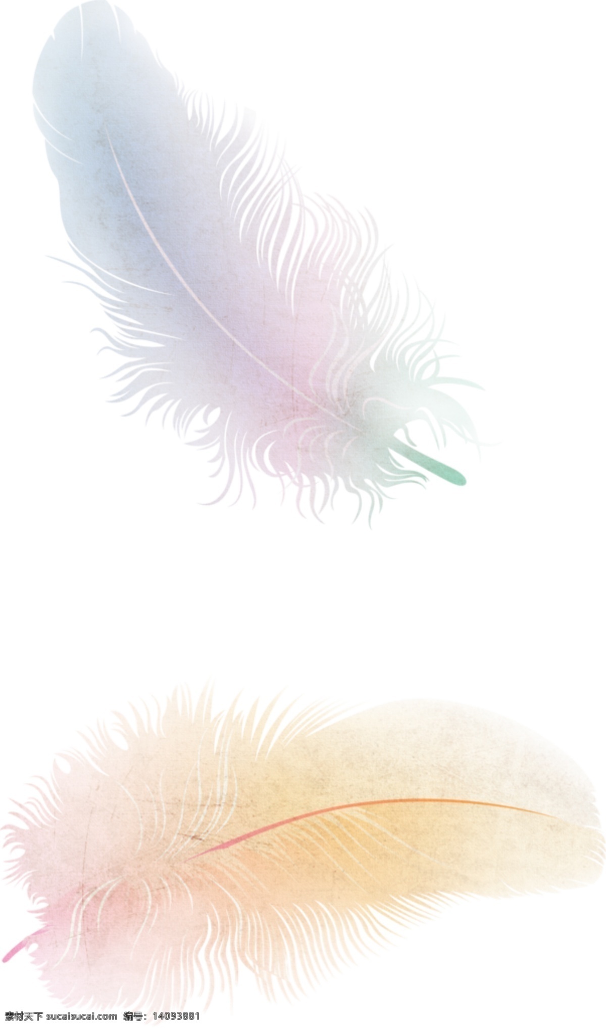 透明羽毛元素 png素材 羽毛素材 彩色羽毛素材