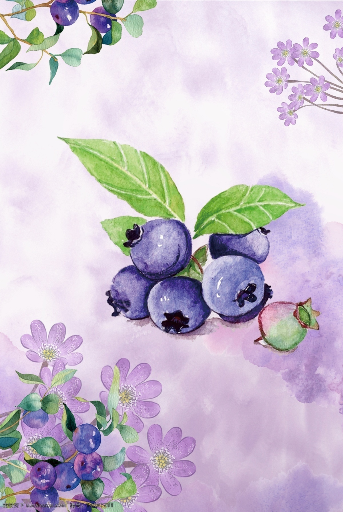 夏日 水果 蓝莓 手绘 背景 夏天 清新 树叶 花朵
