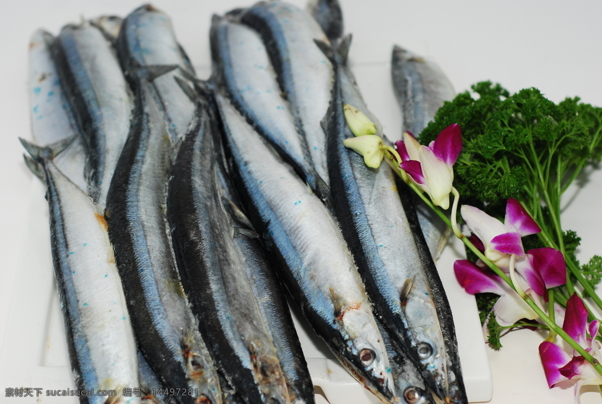 秋刀鱼 鱼类 水产 冻品 海鲜 美味 餐饮美食 食物原料